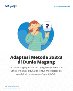 Adaptasi Metode 3x3x3 di Dunia Magang